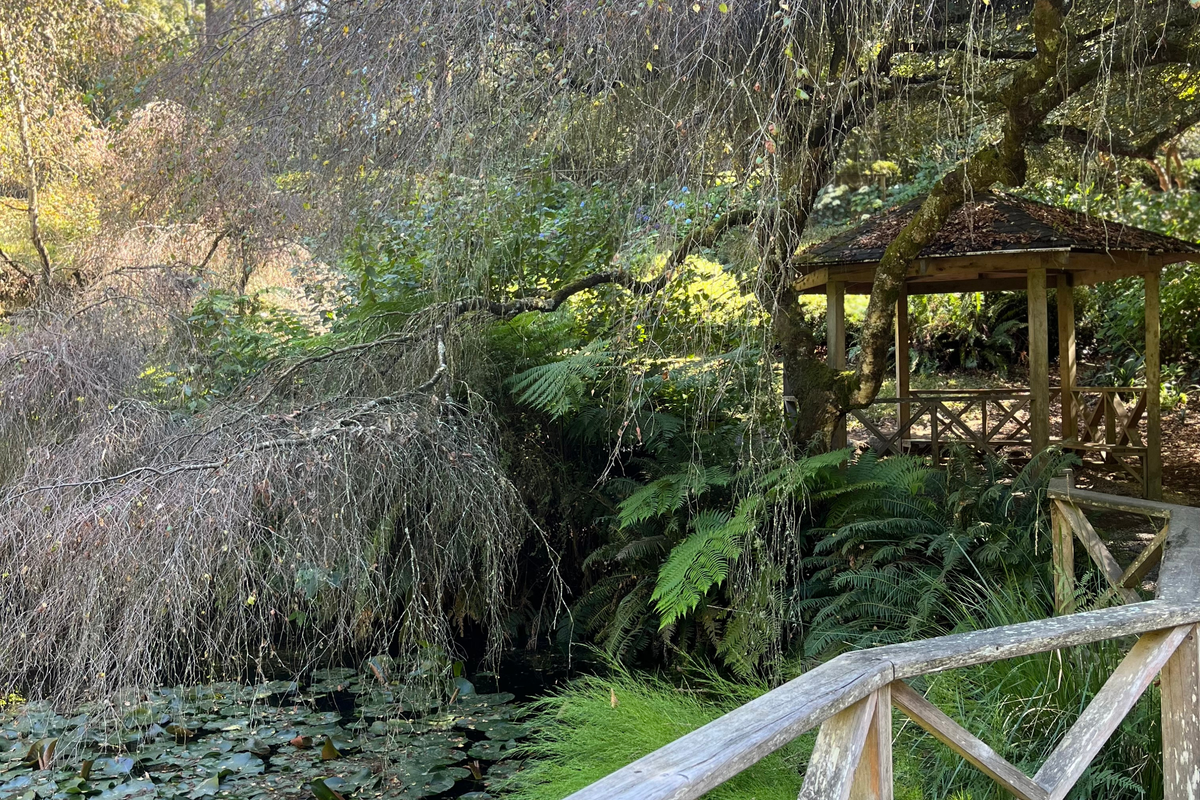 Mystery Picnic Dandenong Ranges Mystery Adventures