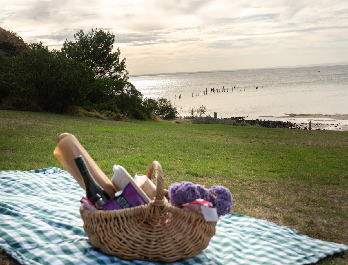 Mystery Picnics