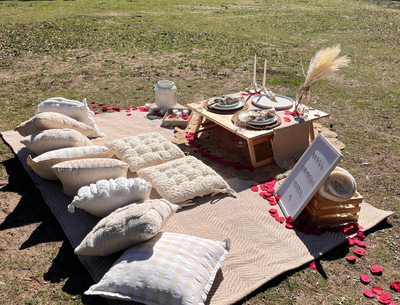 Picnic Set-Up (Dandenong Ranges) - 2.5 Hours - Mystery Adventures