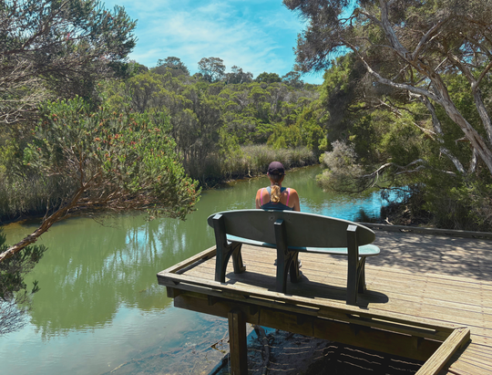 Mystery Trail Mornington Peninsula
