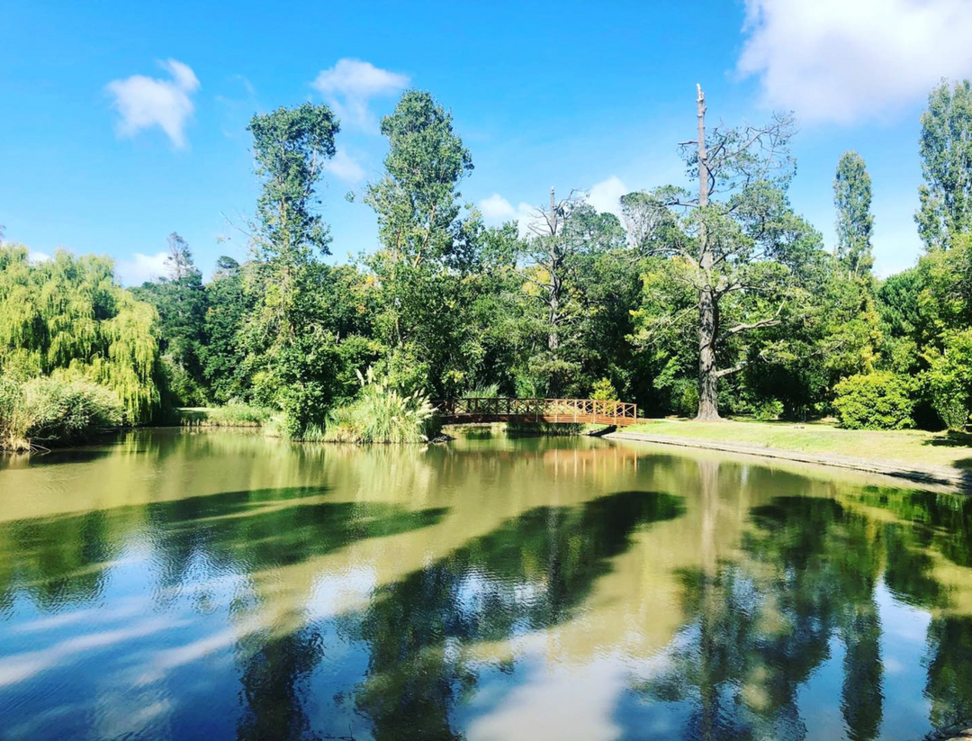 Mystery Picnic Macedon Ranges