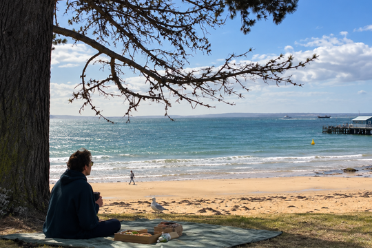 A person sits on a blanket on a sandy beach under a tree, looking out at the blue ocean and sky. A seagull is on the sand nearby, with a pier and distant boats visible in the water.