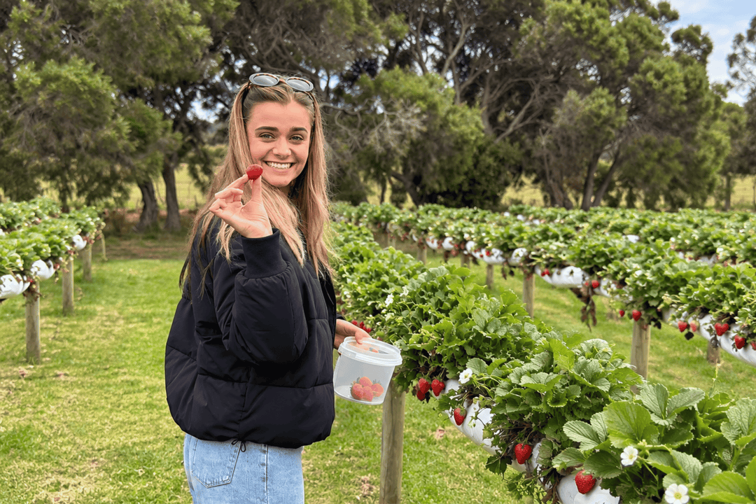 A smiling woman stands in a strawberry field holding a small clear container of strawberries and posing with one strawberry near her face. Rows of strawberry plants with green leaves and red fruit stretch behind her, with trees in the background.