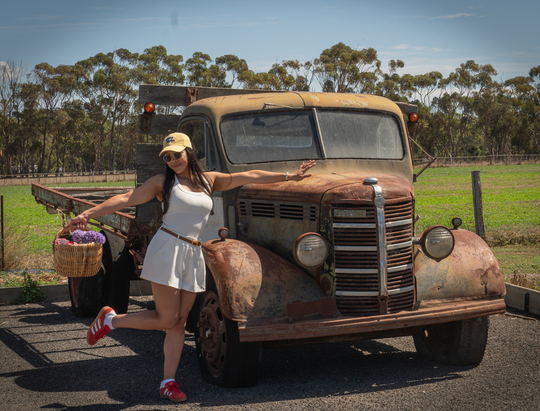 Mystery Picnic Bellarine Peninsula