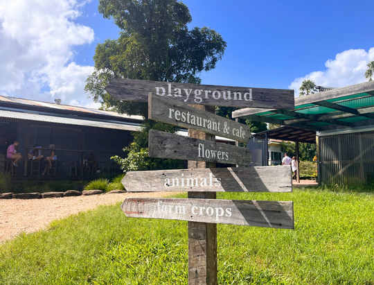 Mystery Picnic Byron Bay