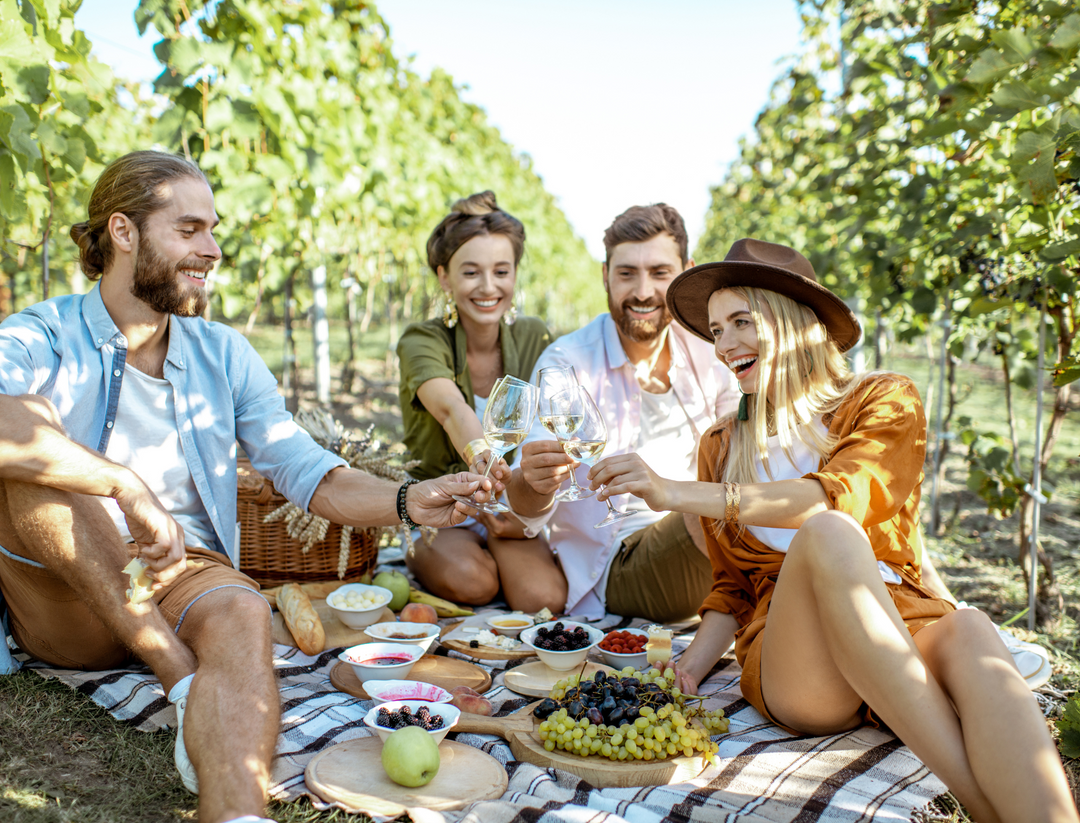 Mystery Picnic Hunter Valley