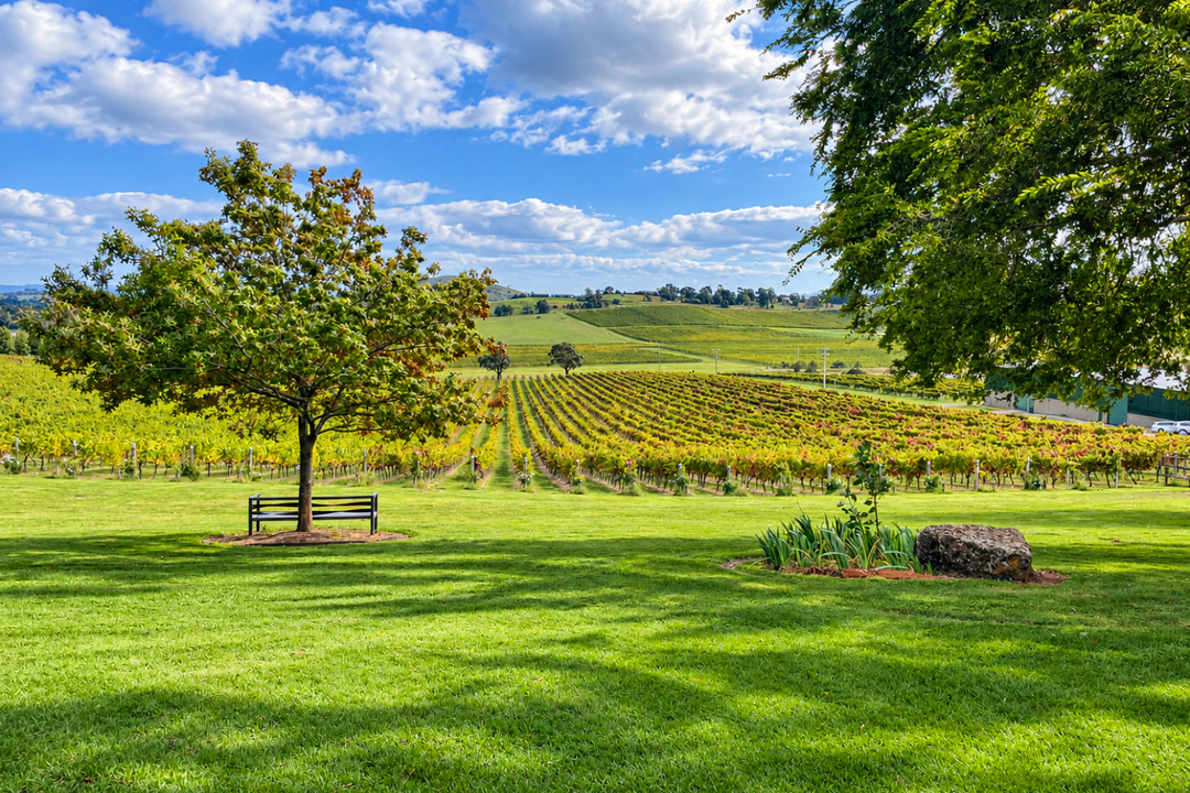 Scenery Yarra Valley Mystery Picnic
