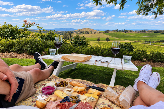 Views and picnic food mystery picnic yarra valley