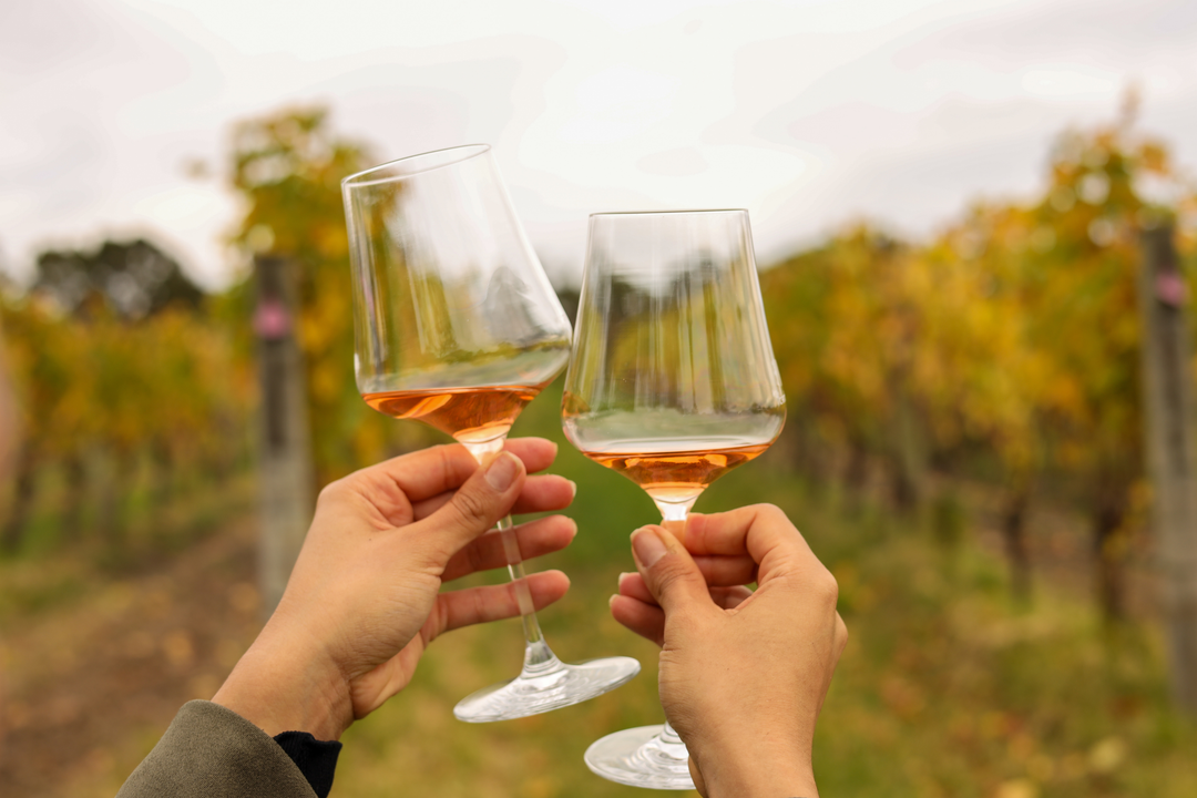 Wine Tasting at Mystery Winery